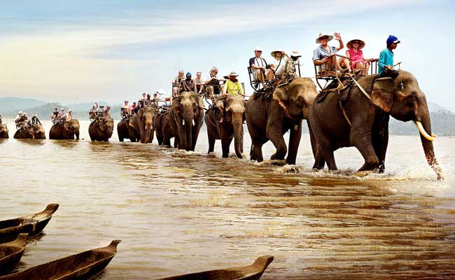 lak lake vietnam elephant ride